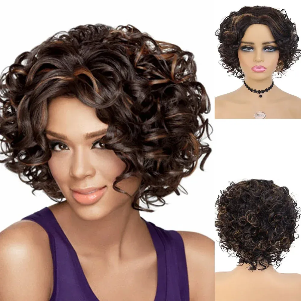 Afro Curly Wigs Short Synthetic Hair Regular Wigs for Black Women High Temperature Fiber High Quality Wigs Highlights