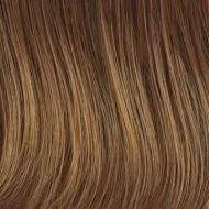 Flash Forward wig - Raquel Welch